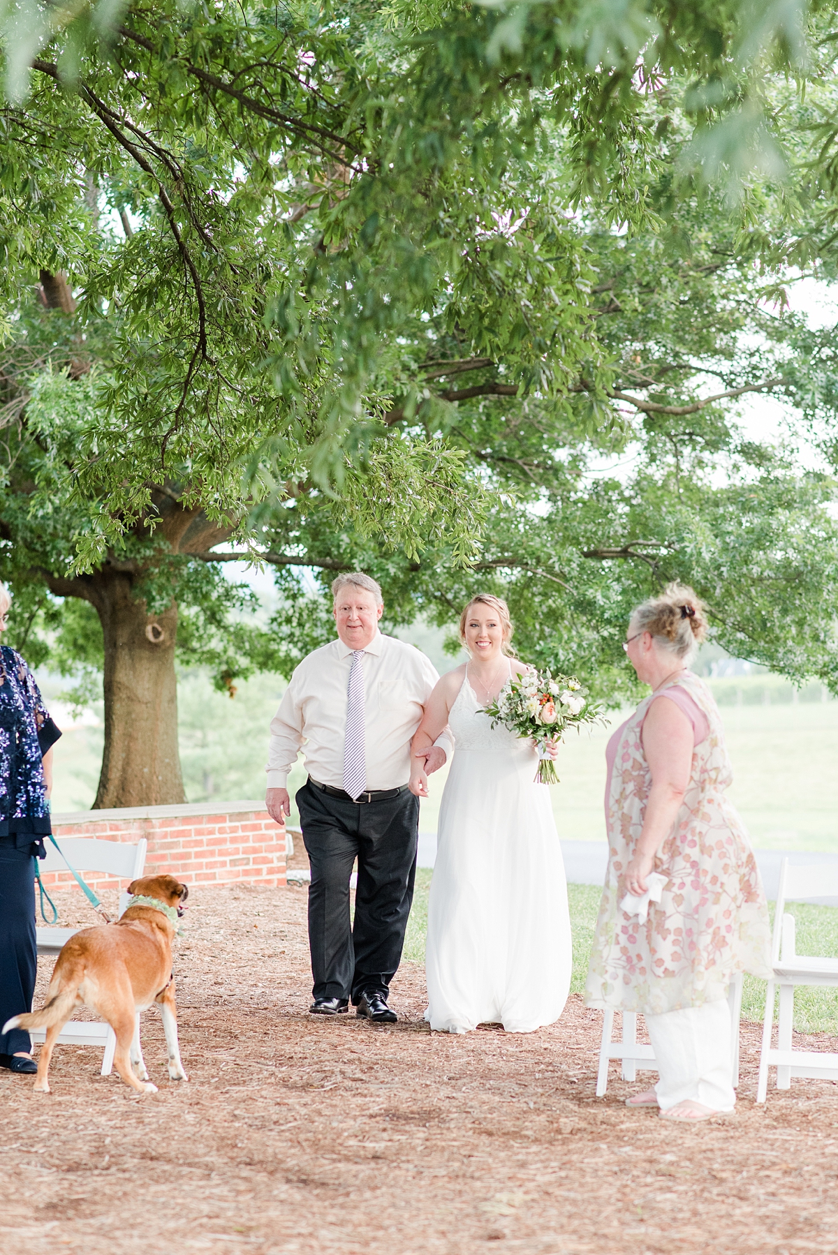 Father Walking Bride Down the Aisle  at Intimate Wedding Ceremony at King Family Vineyards. Wedding Photography by Crozet Wedding Photographer Kailey Brianne Photography. 