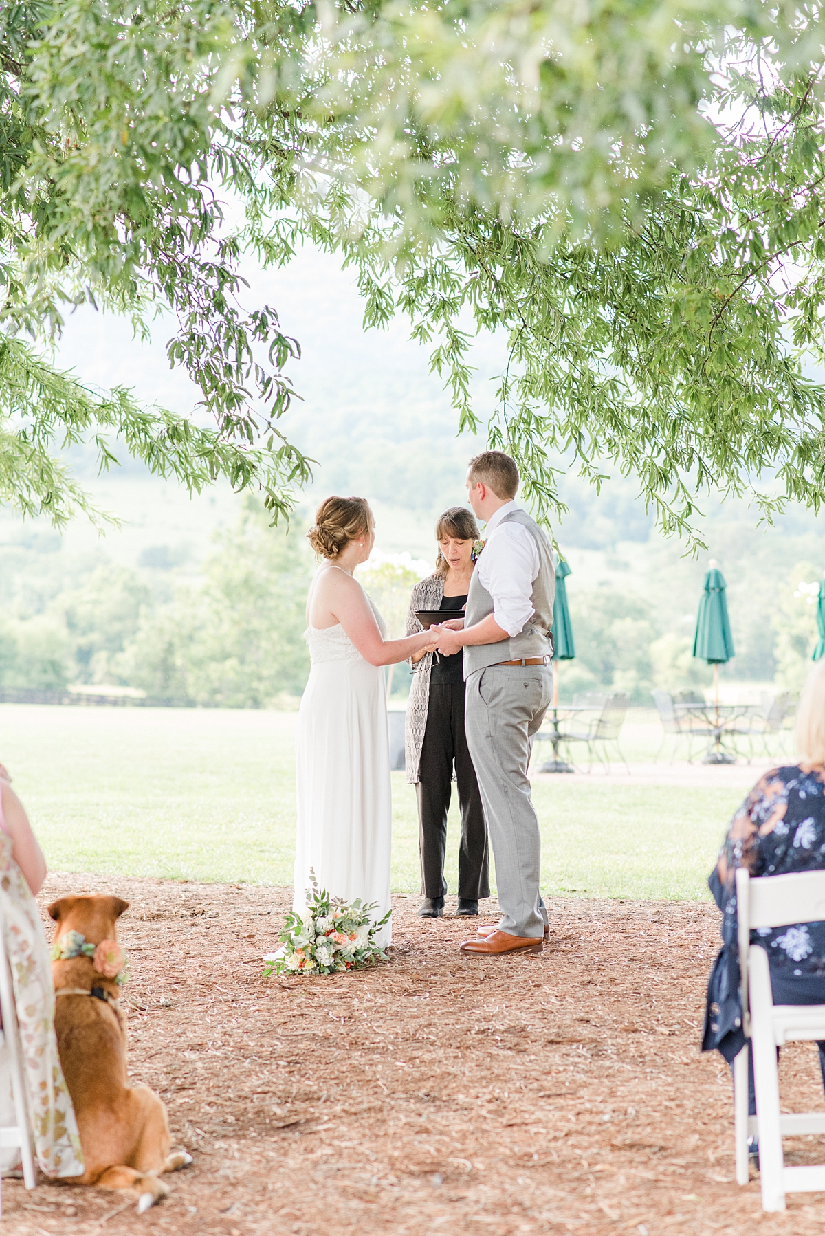 Intimate Wedding Ceremony at King Family Vineyards. Wedding Photography by Richmond Wedding Photographer Kailey Brianne Photography. 