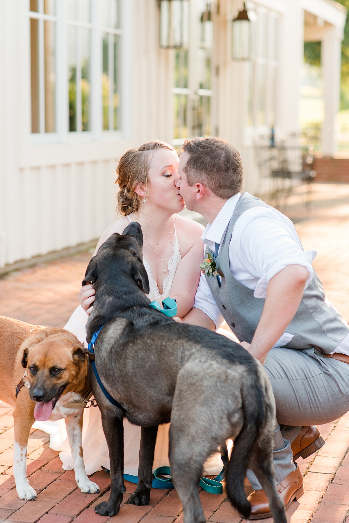 Wedding Portraits with Dogs at King Family Vineyards. Wedding Photography by Virginia Wedding Photographer Kailey Brianne Photography. 