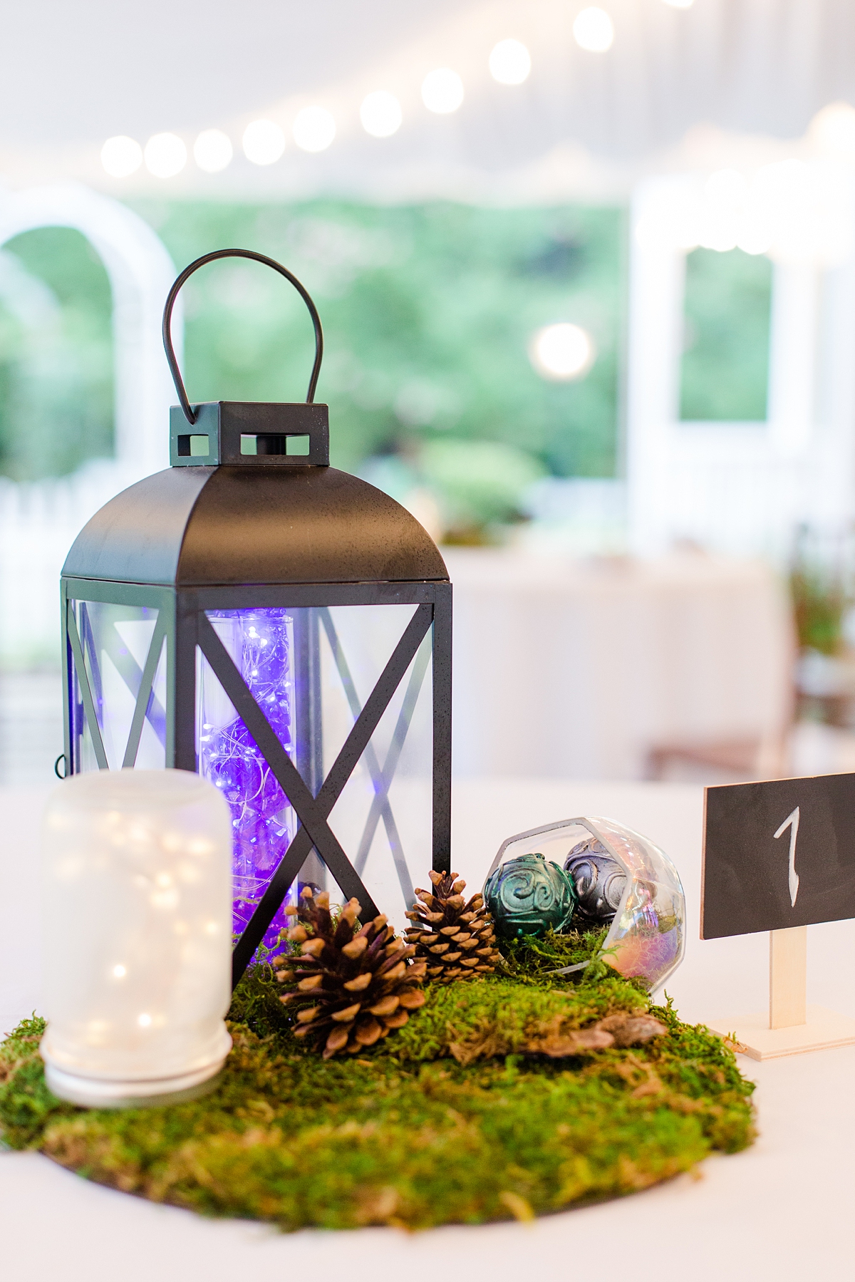 Harry Potter Themed Wedding Reception Decorations at Virginia Cliffe Inn. Wedding Photography by Richmond Wedding Photographer Kailey Brianne Photography. 