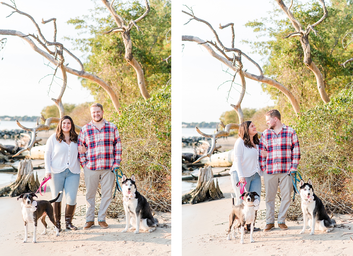 Virginia Beach First Landing State Park Engagement Session with Dogs. Engagement Photography by Yorktown Wedding Photographer Kailey Brianne Photography. 