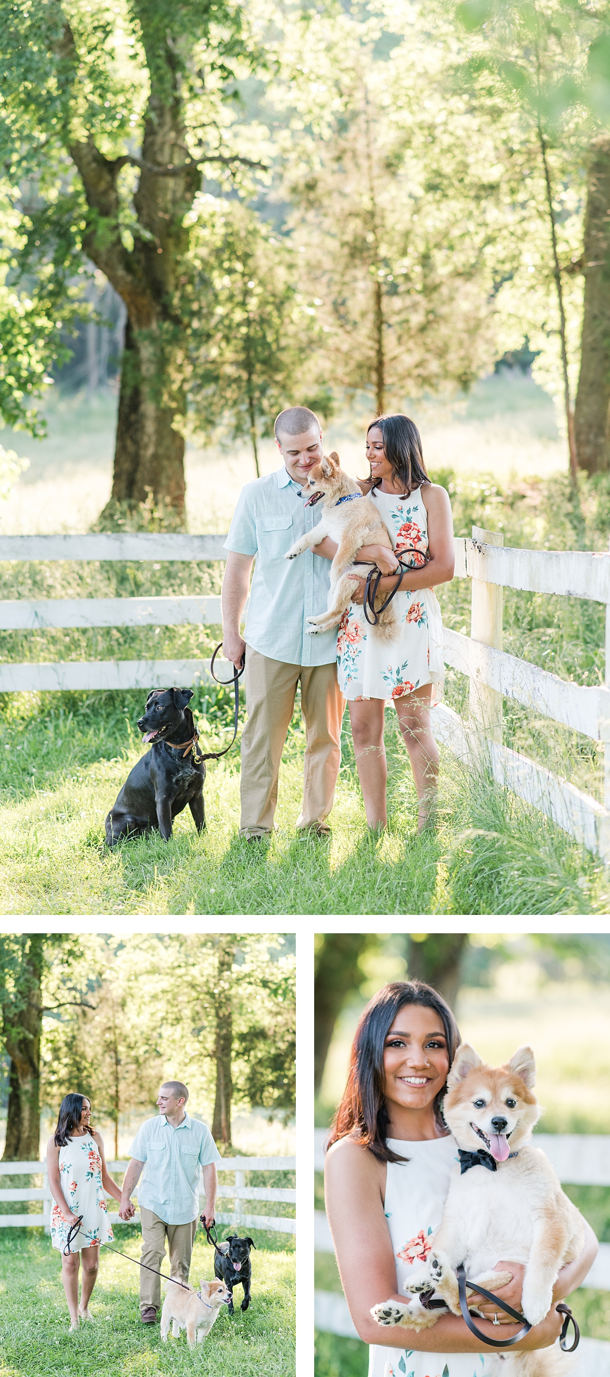 Tuckahoe Plantation Engagement Session with Dogs. Photography by Richmond Wedding Photographer Kailey Brianne Photography.