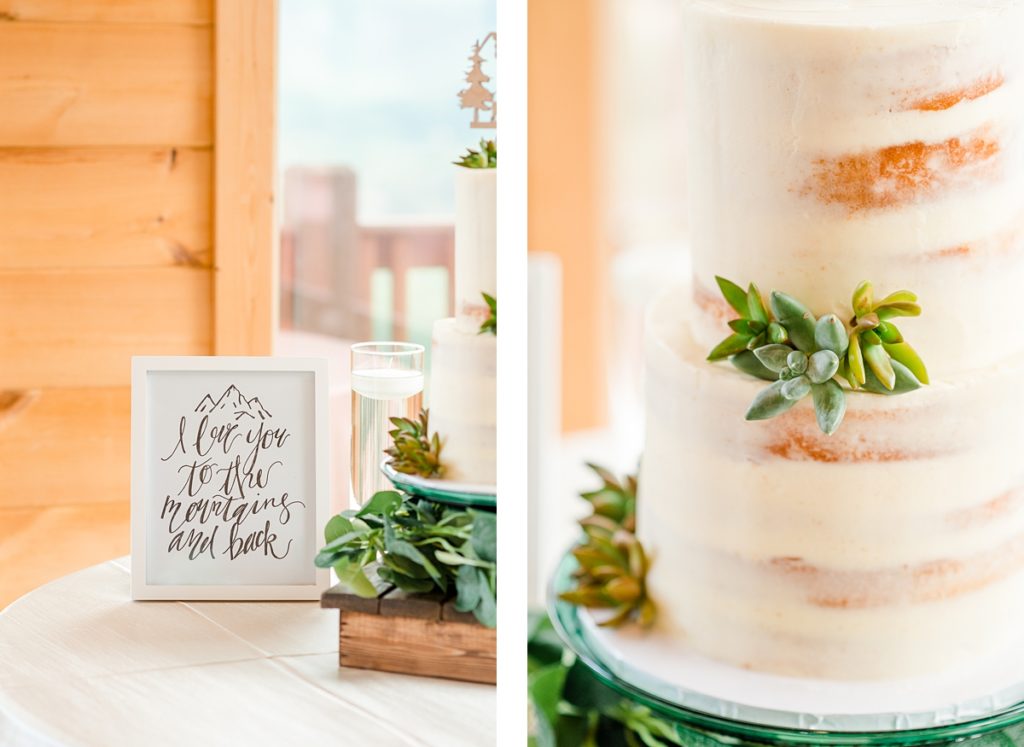 Succulent Cake for Summer Wedding Reception at The Magnolia Venue in Tennessee. Wedding Photography by Virginia Wedding Photographer Kailey Brianne Photography. 