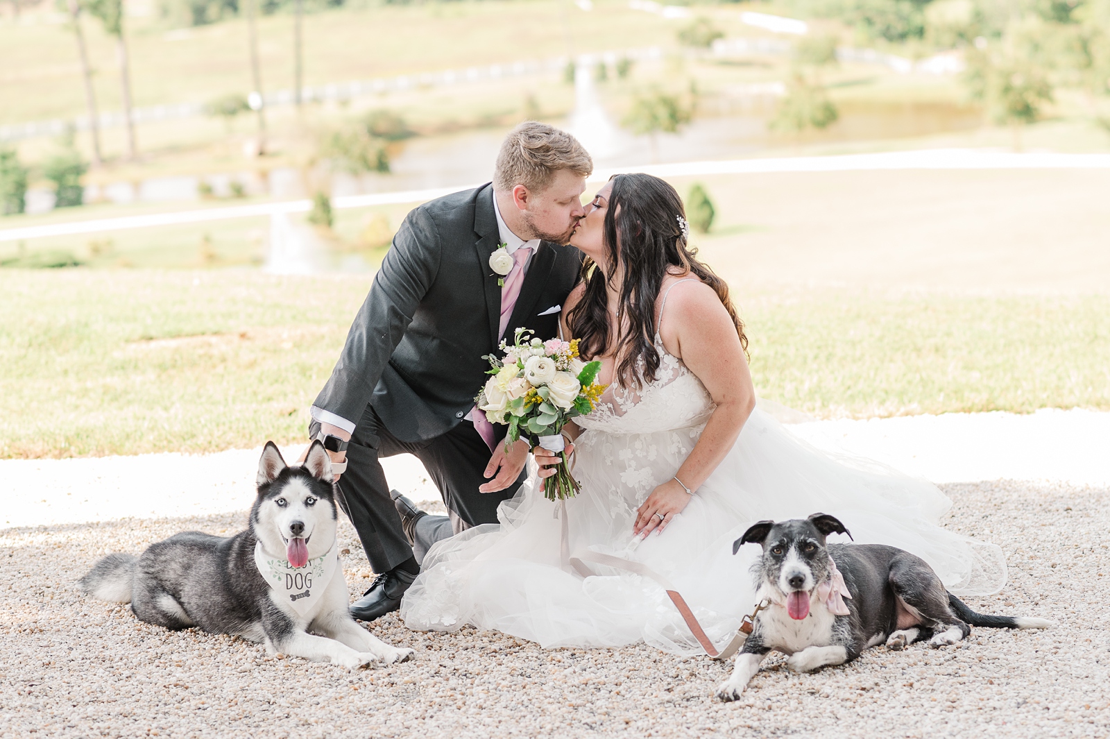 Bride and Groom Portraits with Dogs at Cumberland Estate Wedding. Photography by Virginia Wedding Photographer Kailey Brianne Photography. 