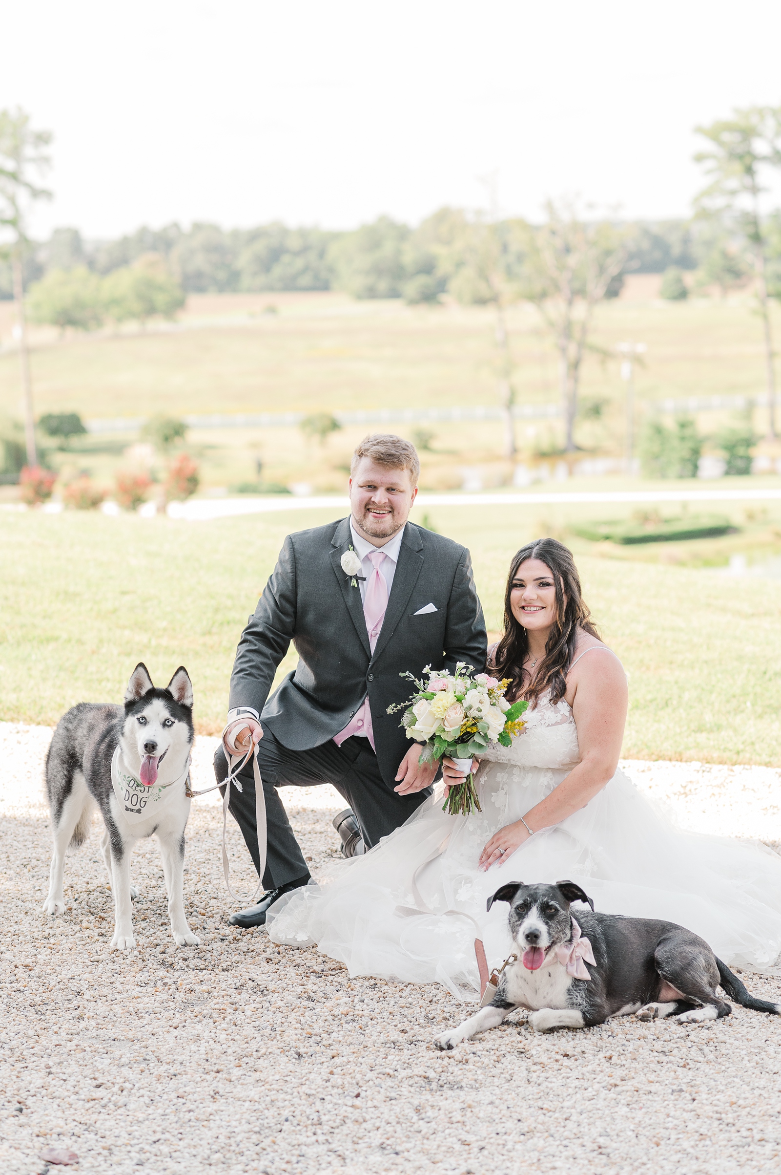 Bride and Groom Portraits with Dogs by Virginia Wedding Photographer Kailey Brianne Photography. 