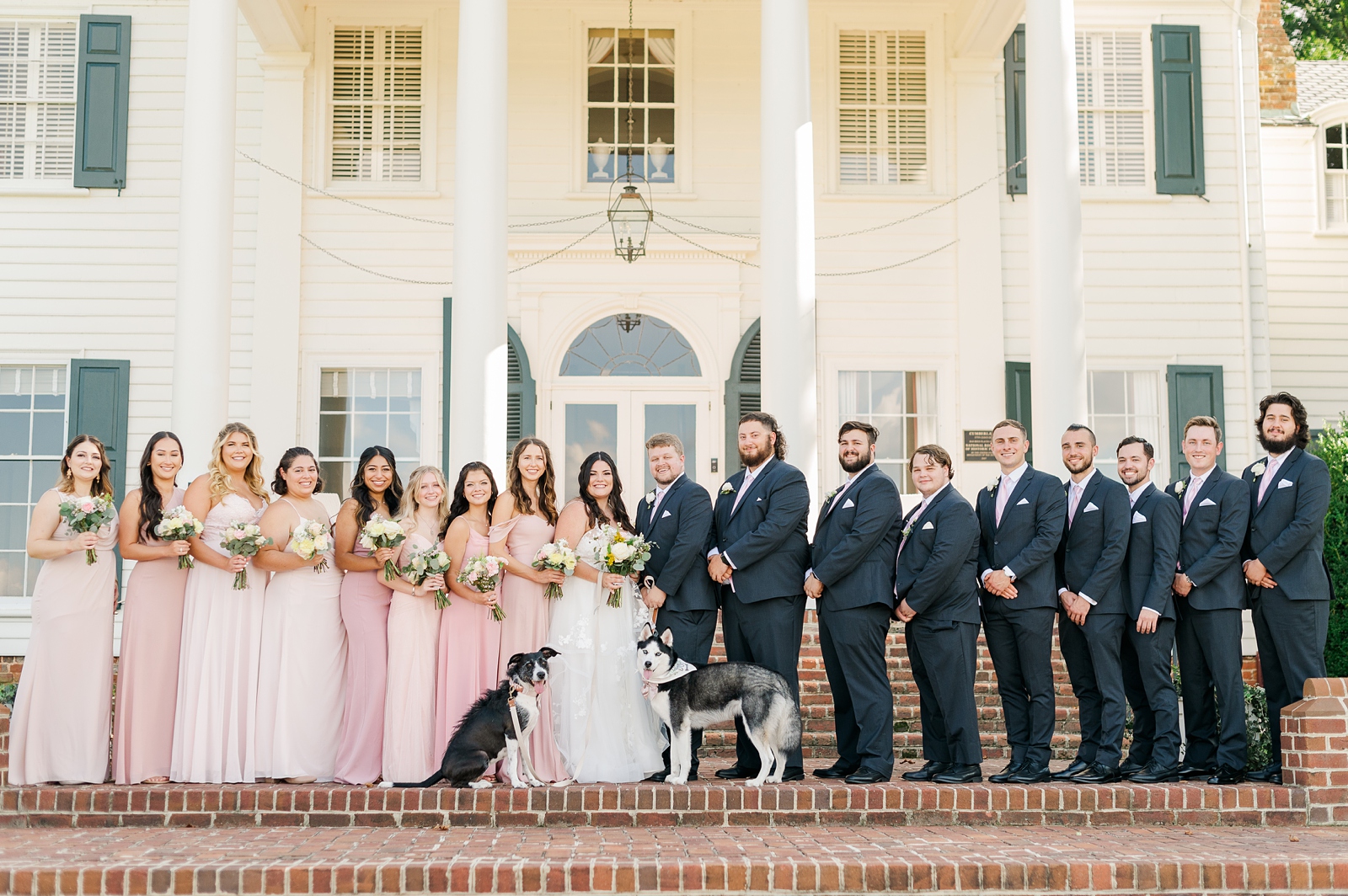 Large Bridal Party Portraits with Dogs at a Cumberland Estate Wedding. Photography by New Kent Wedding Photographer Kailey Brianne Photography. 