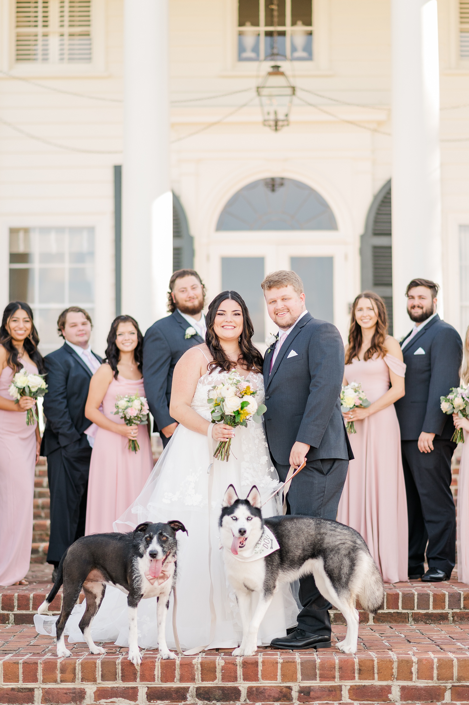 Large Bridal Party Portraits with Dogs at a Cumberland Estate Wedding. Photography by New Kent Wedding Photographer Kailey Brianne Photography. 
