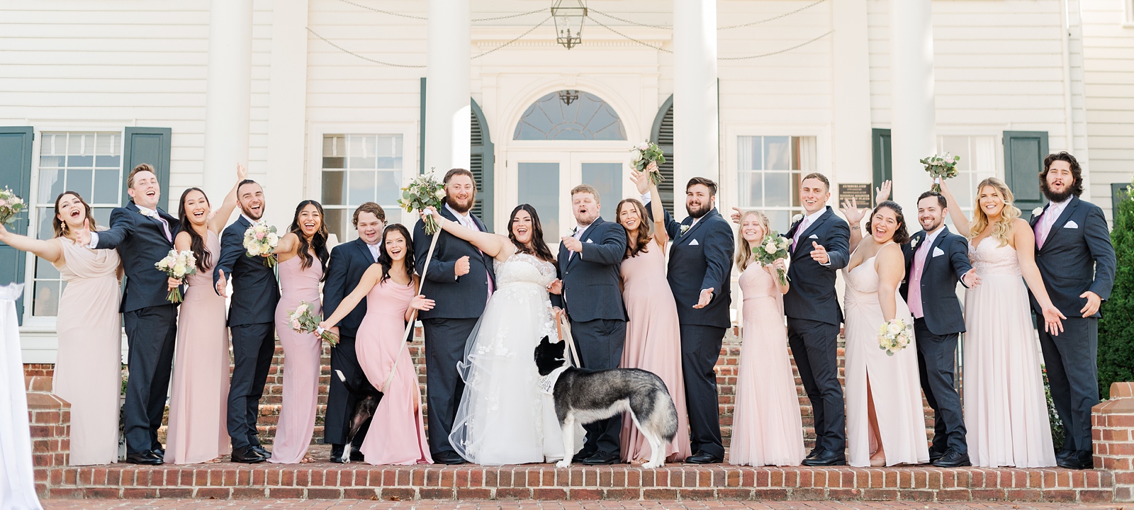 Bridal Party Portraits with Dogs at a Cumberland Estate Wedding. Photography by New Kent Wedding Photographer Kailey Brianne Photography. 