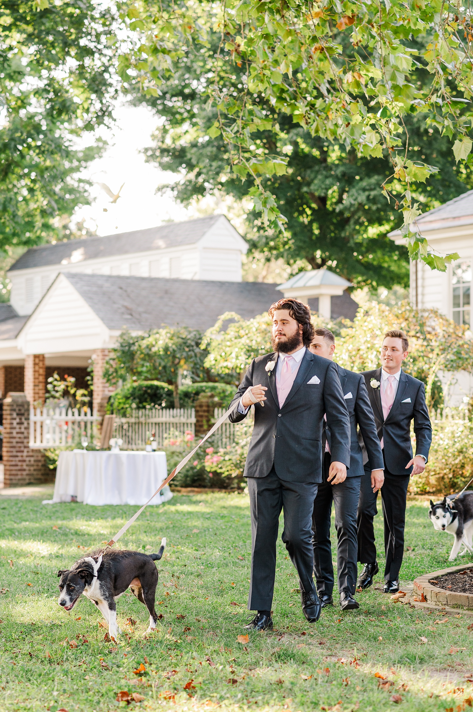 Dogs in Summer Wedding Ceremony at Cumberland Estate. 