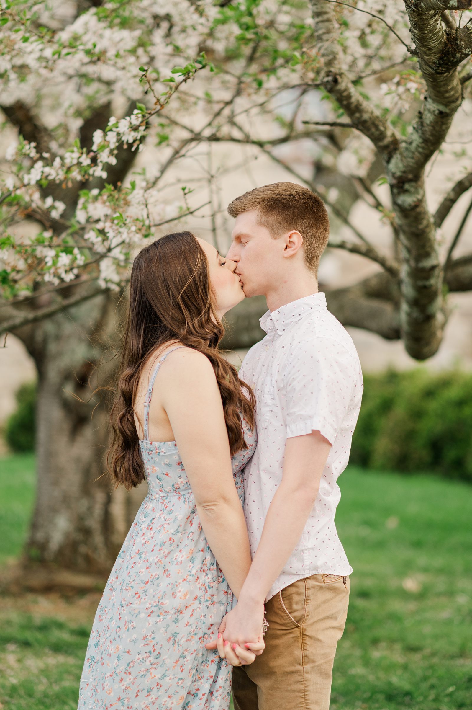 A spring maymont engagement session with Cherry Blossoms by Kailey Brianne Photography. 
