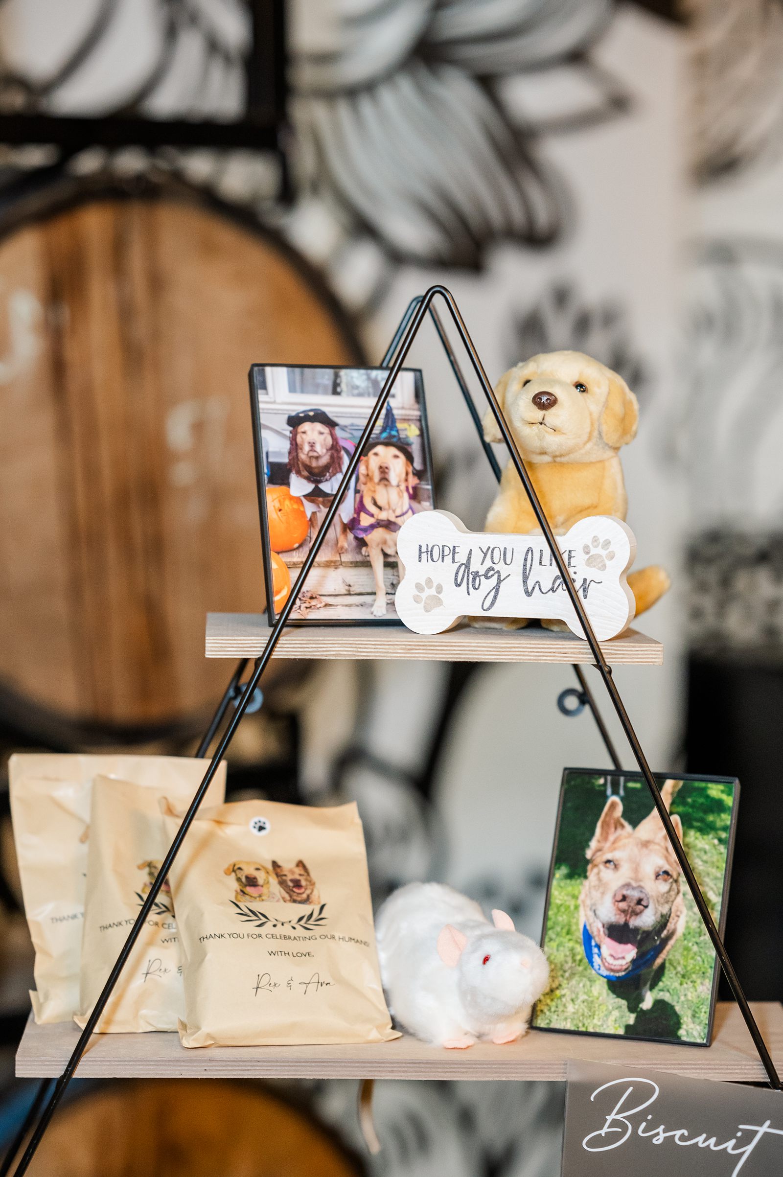 Dog Treat Wedding Favor and Reception Decor at Triple Crossing Beer Wedding. Richmond Wedding Photographer Kailey Brianne Photography