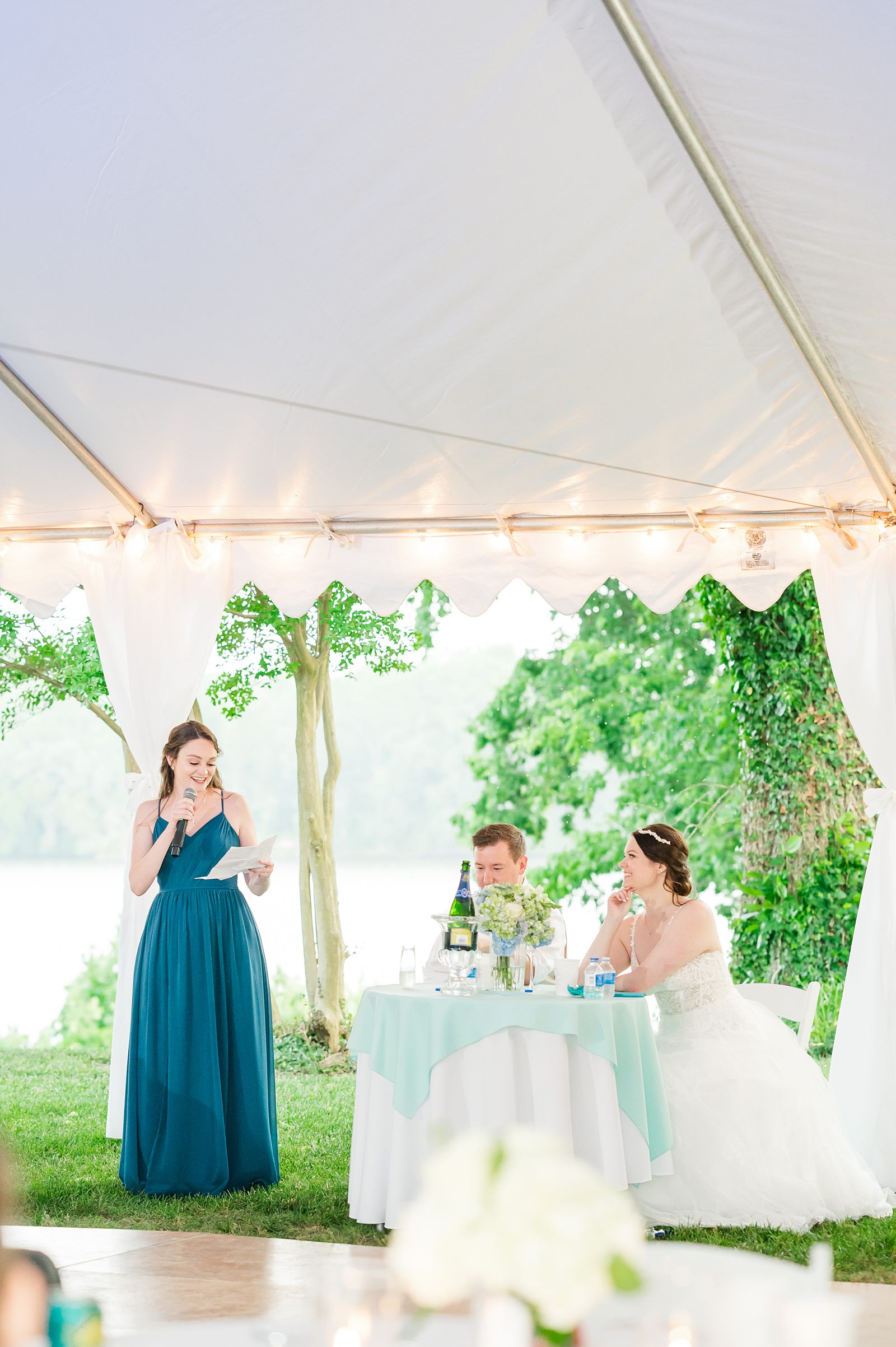 Toasts at Summer Belle Grove Wedding Reception