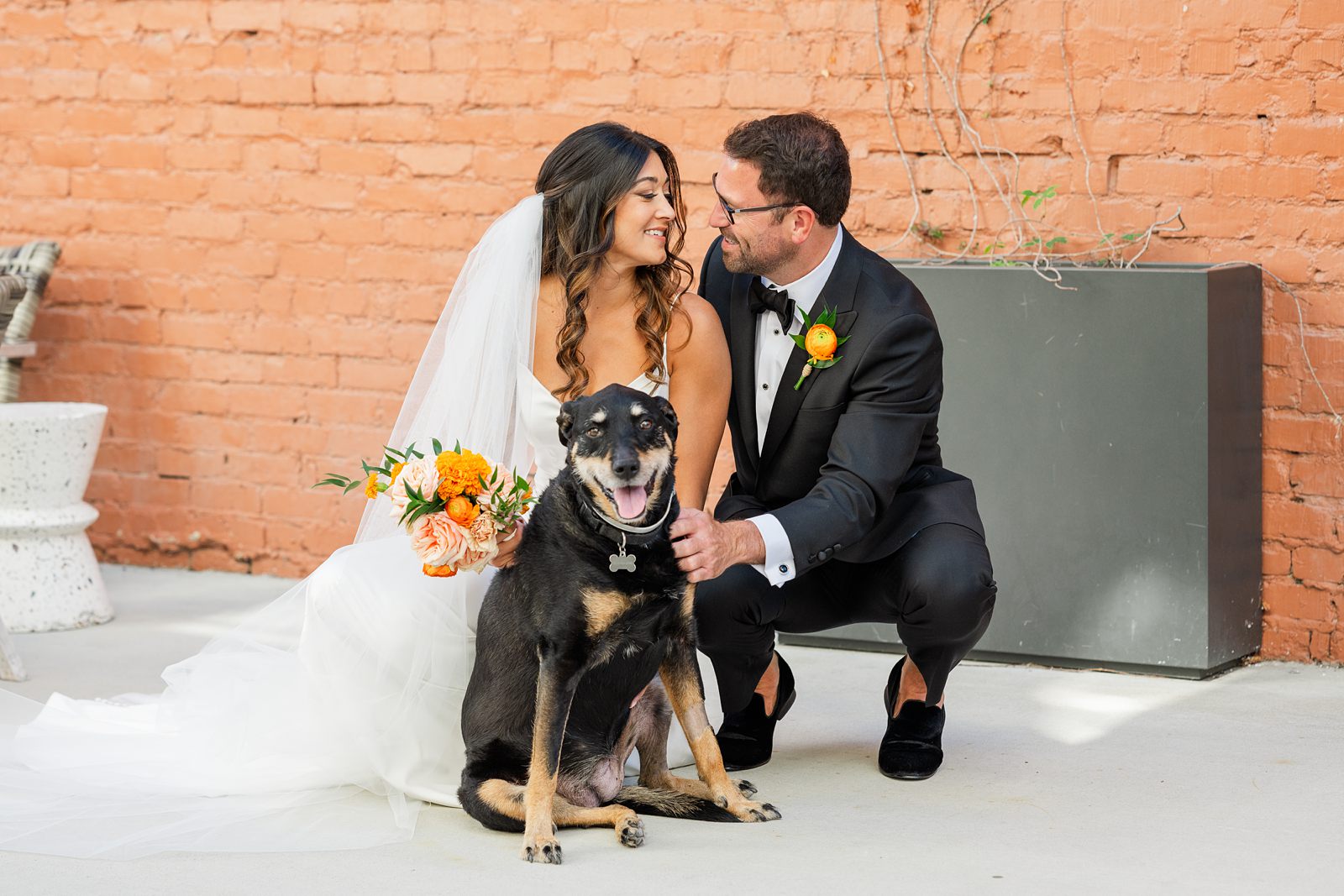 Bride and Groom Portraits with Dog at Fall Common House Richmond Wedding 