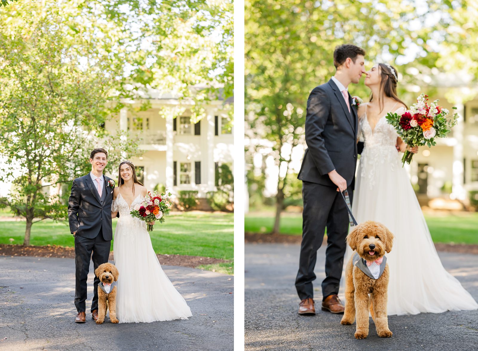 Bride and Groom Portraits with Dog at Fall Virginia Cliffe Inn Wedding 