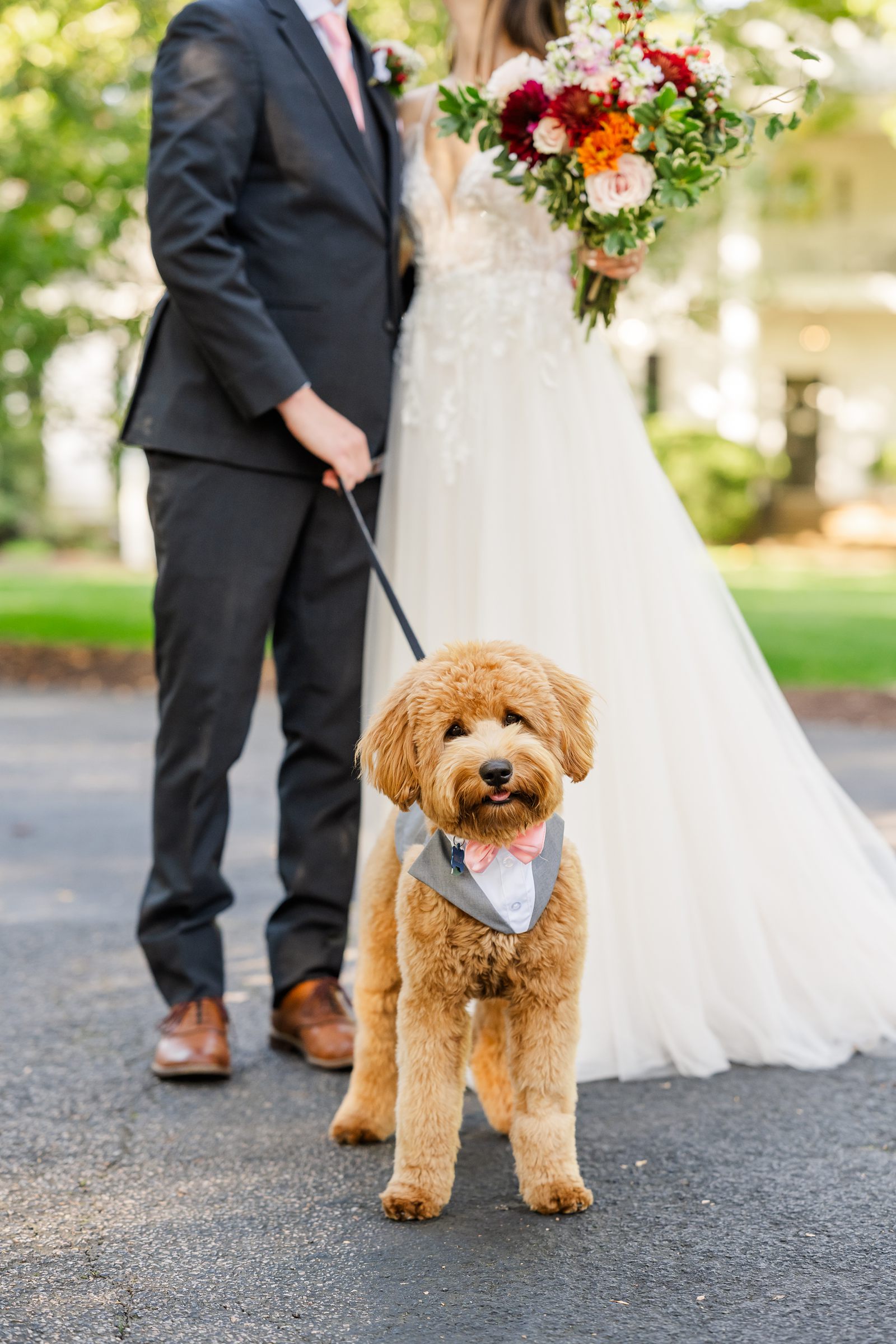 Bride and Groom Portraits with Dog at Fall Virginia Cliffe Inn Wedding 