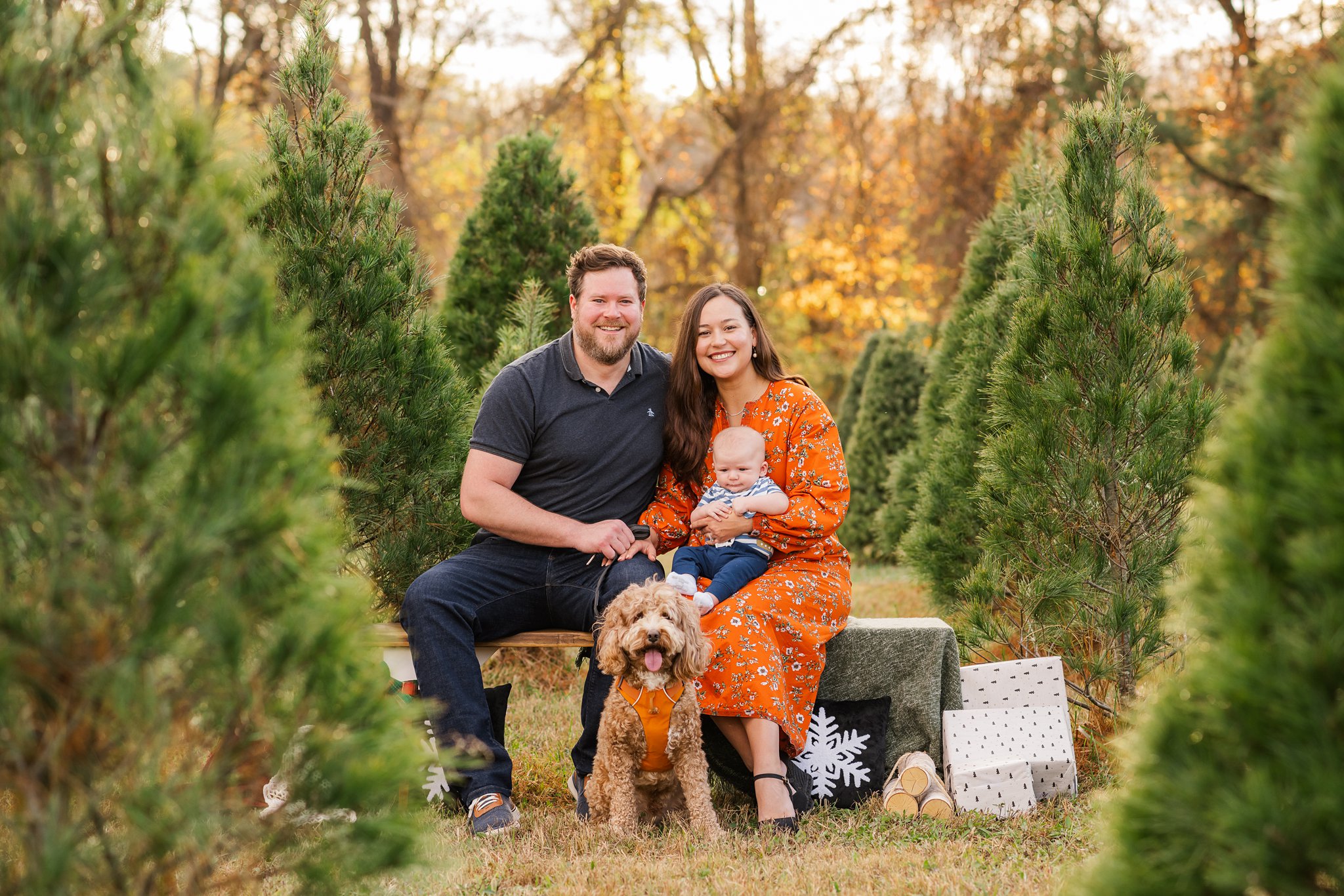 2024 Holiday mini Sessions with richmond family photographer kailey brianne photography